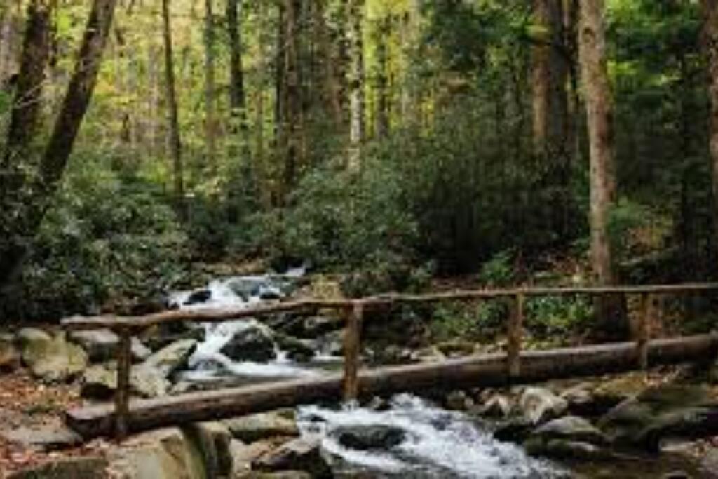 Art'S Bungalow-Wooded Seclusion 1 Mi To Deep Creek And Bryson City Exterior foto
